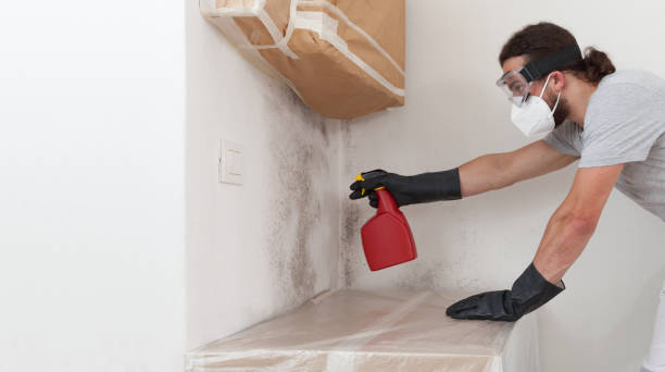 Professional Mold Remediation technician working in Fairfield, TX