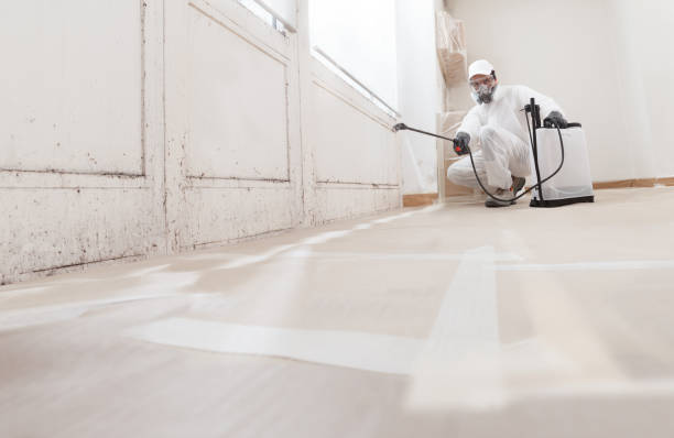 24/7 Emergency Mold Remediation experts in Fairfield, TX