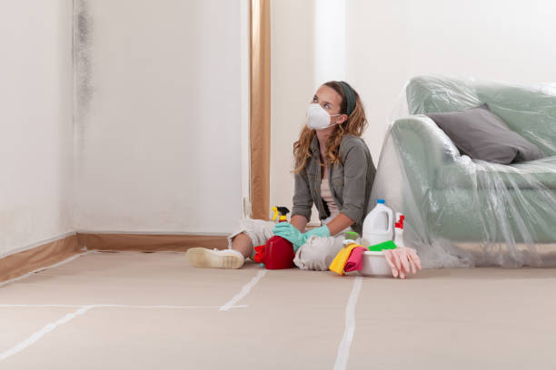 Reliable Mold Remediation contractor in Fairfield, TX by Mold Remediation HQ