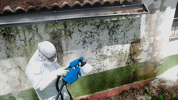 Top rated local Mold Remediation specialists in Fairfield, TX